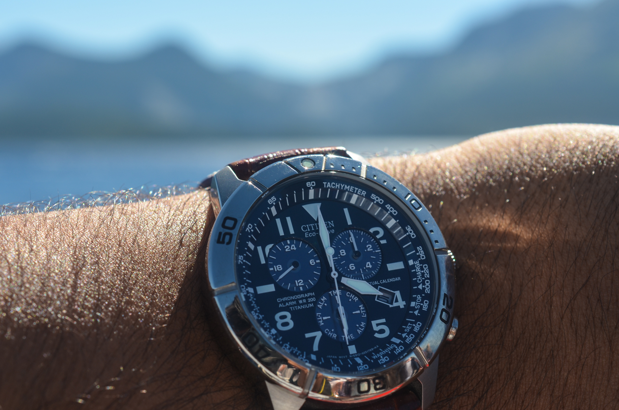 Cost of a citizen watch 2025