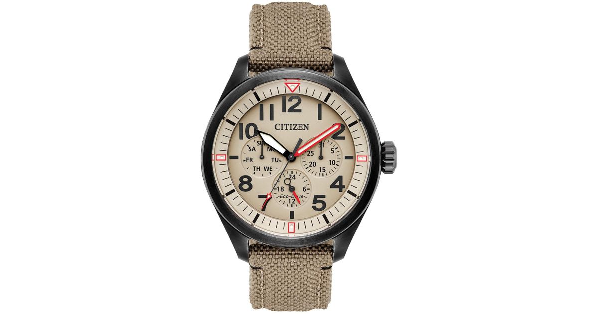 clear khaki dial