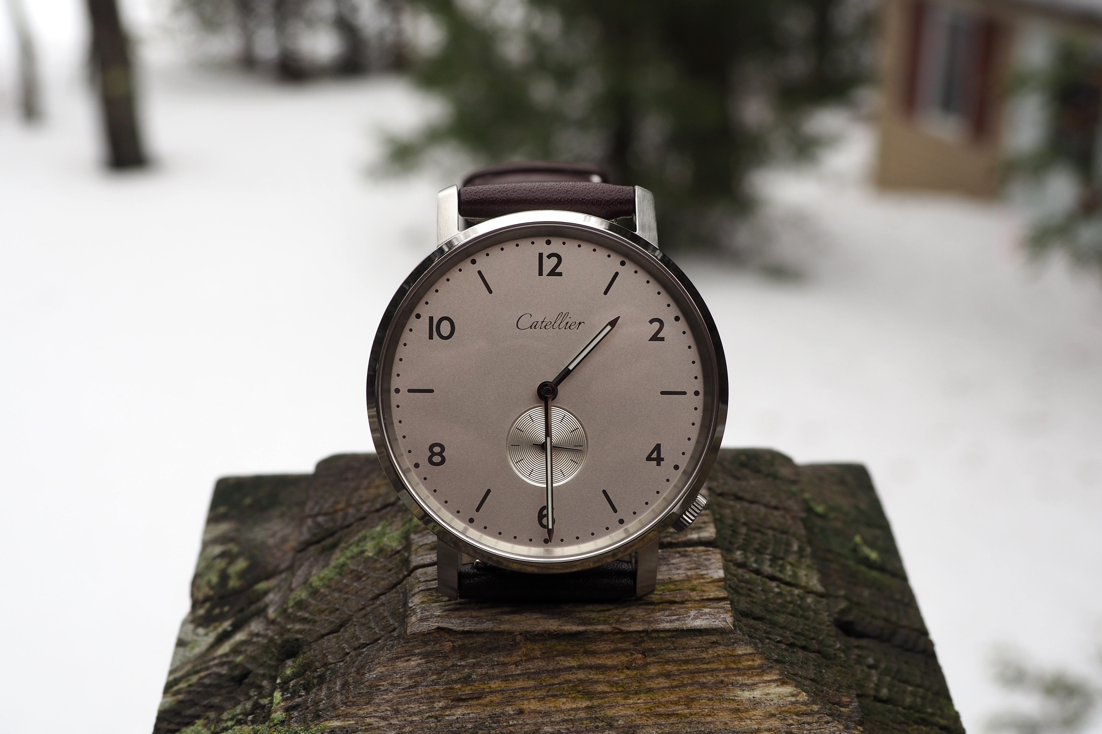 Eoniq Alster Custom Watch Review