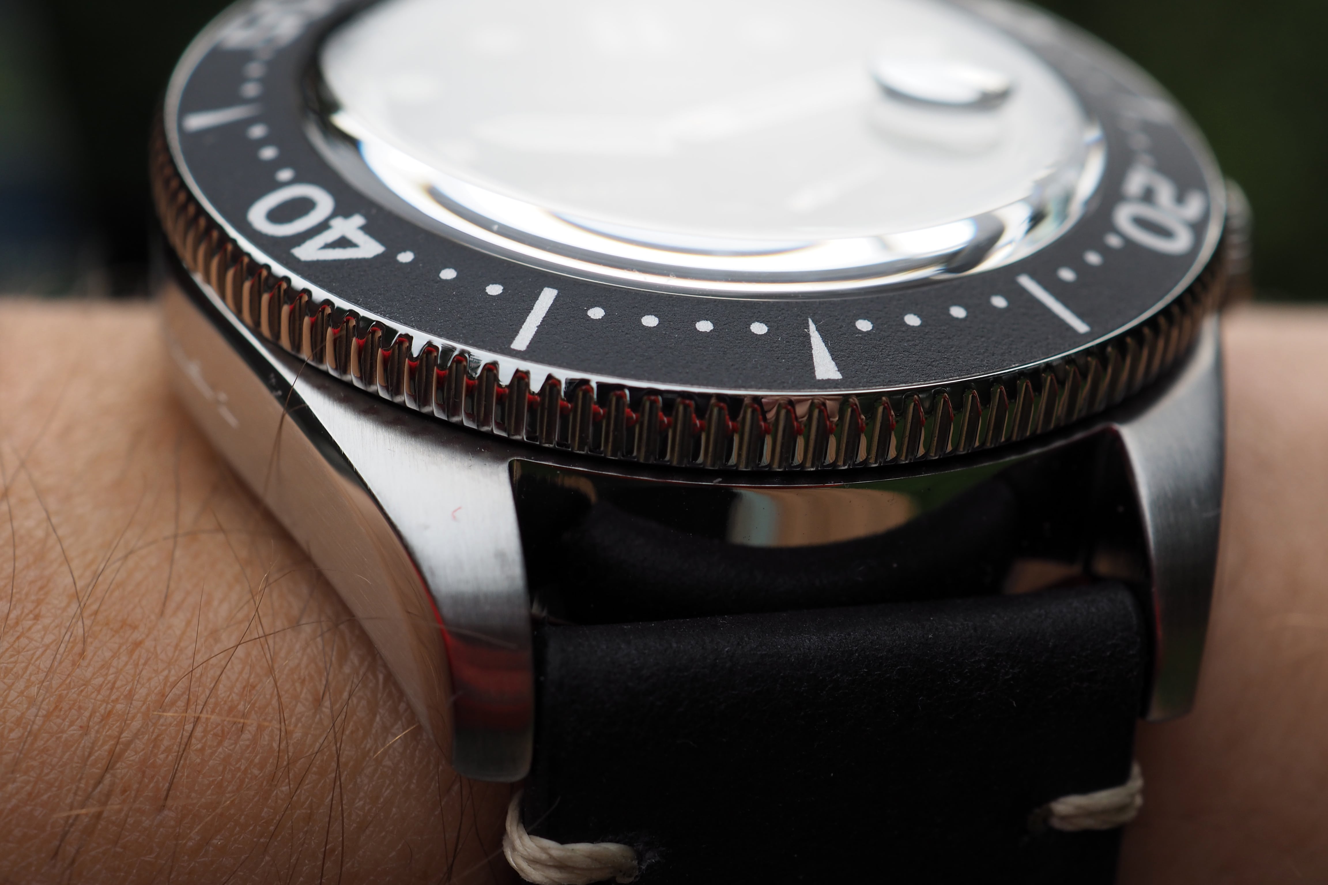 Coin edged bezel and lugs
