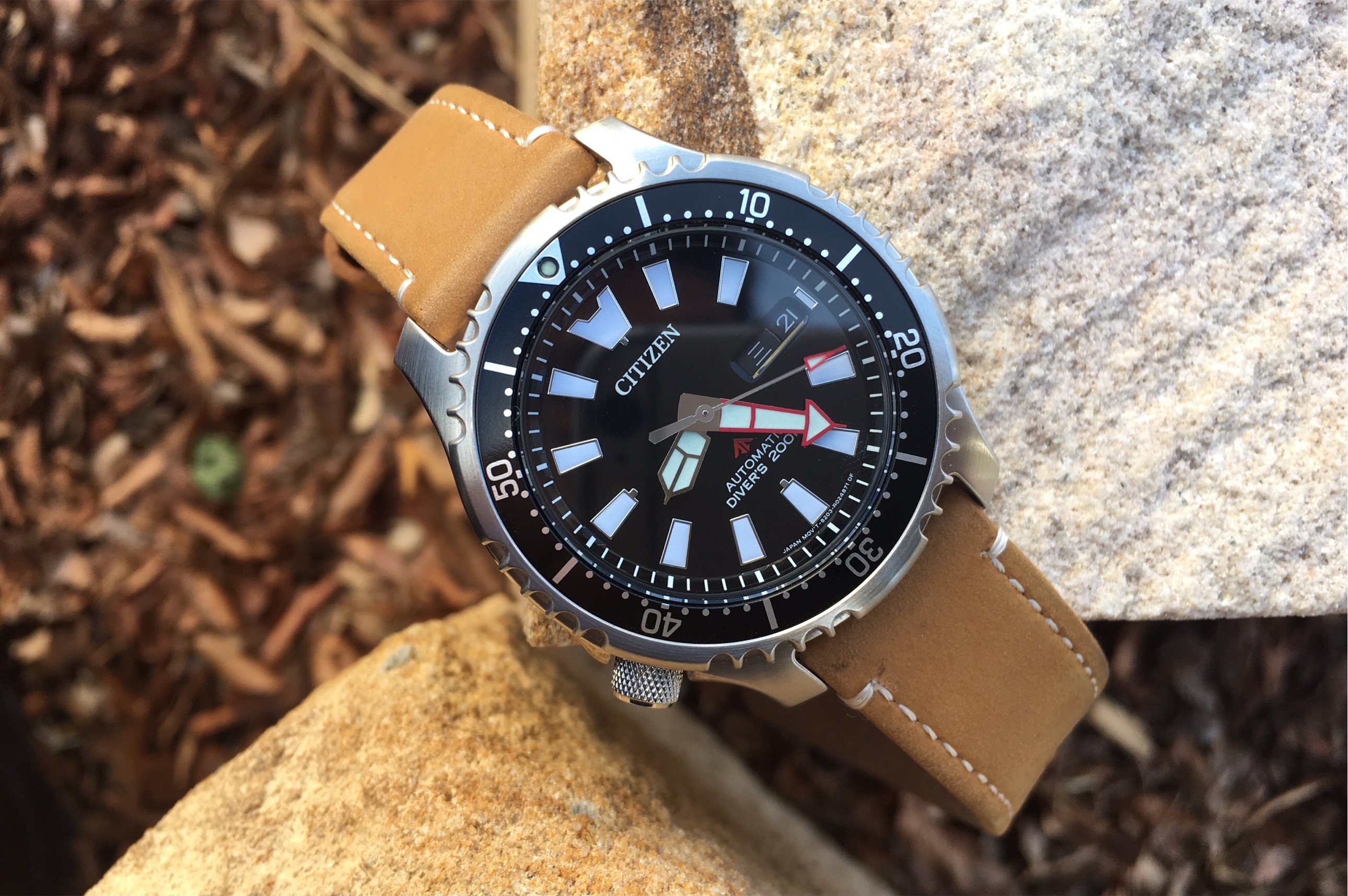 Citizen Fugu NY0080-12E Watch Review - WatchReviewBlog