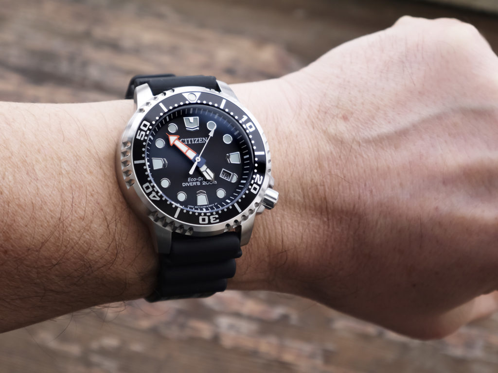 Promaster Diver