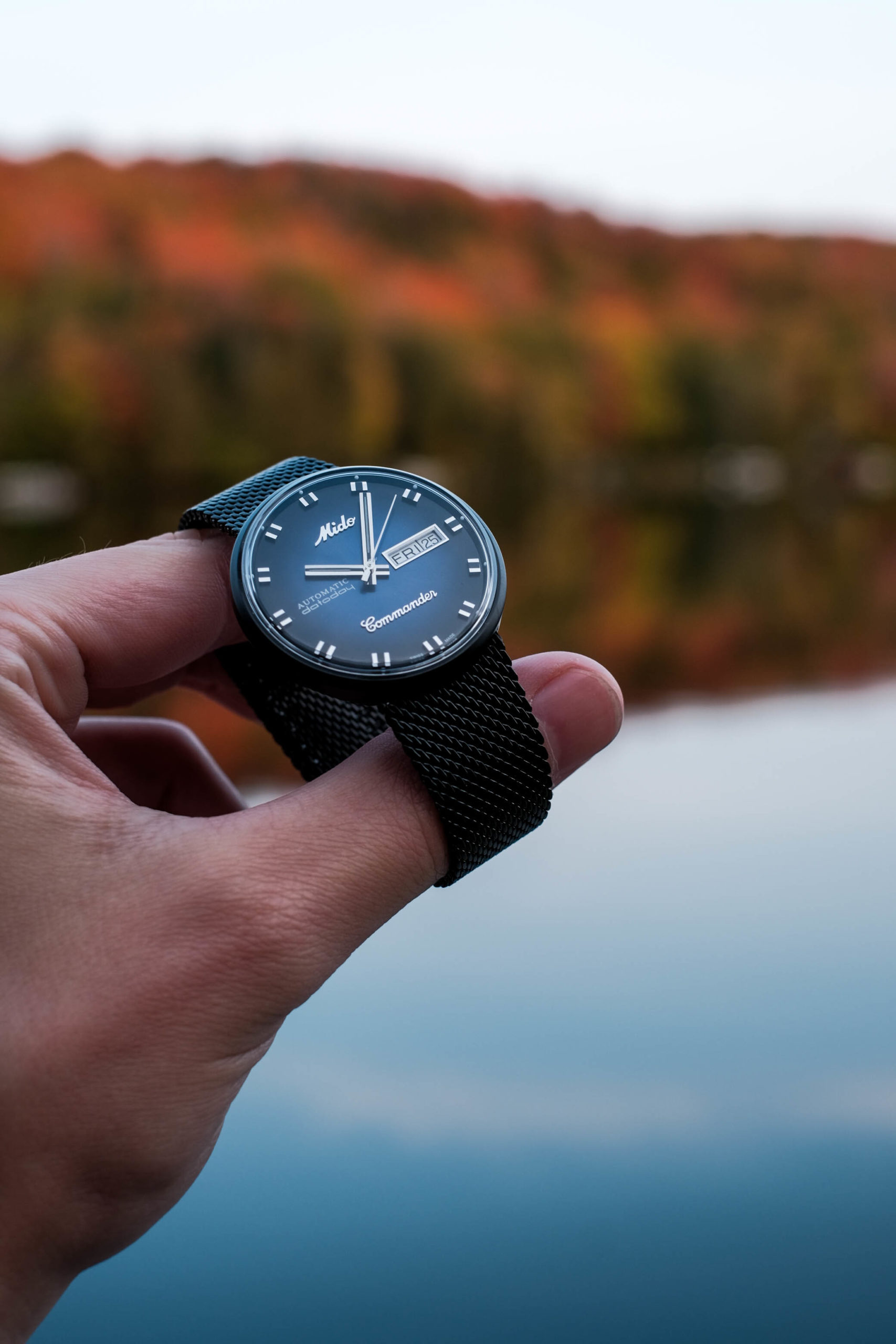 The commander blue shade with autumn backdrop