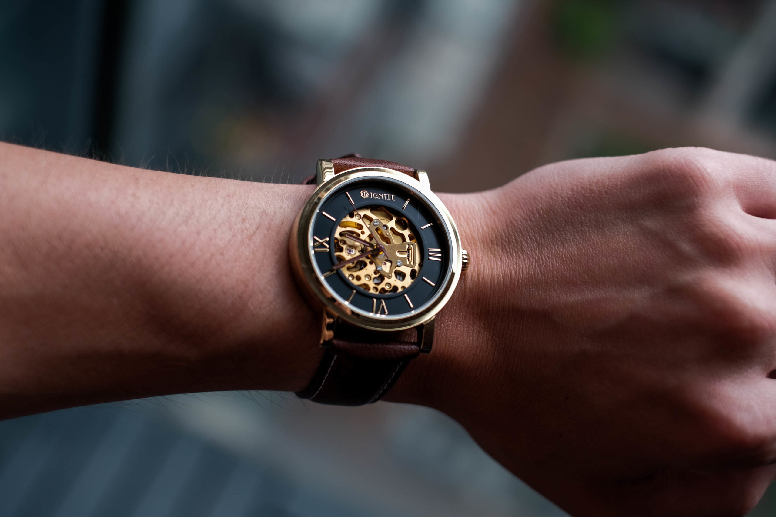 Ignite skeletonized dial