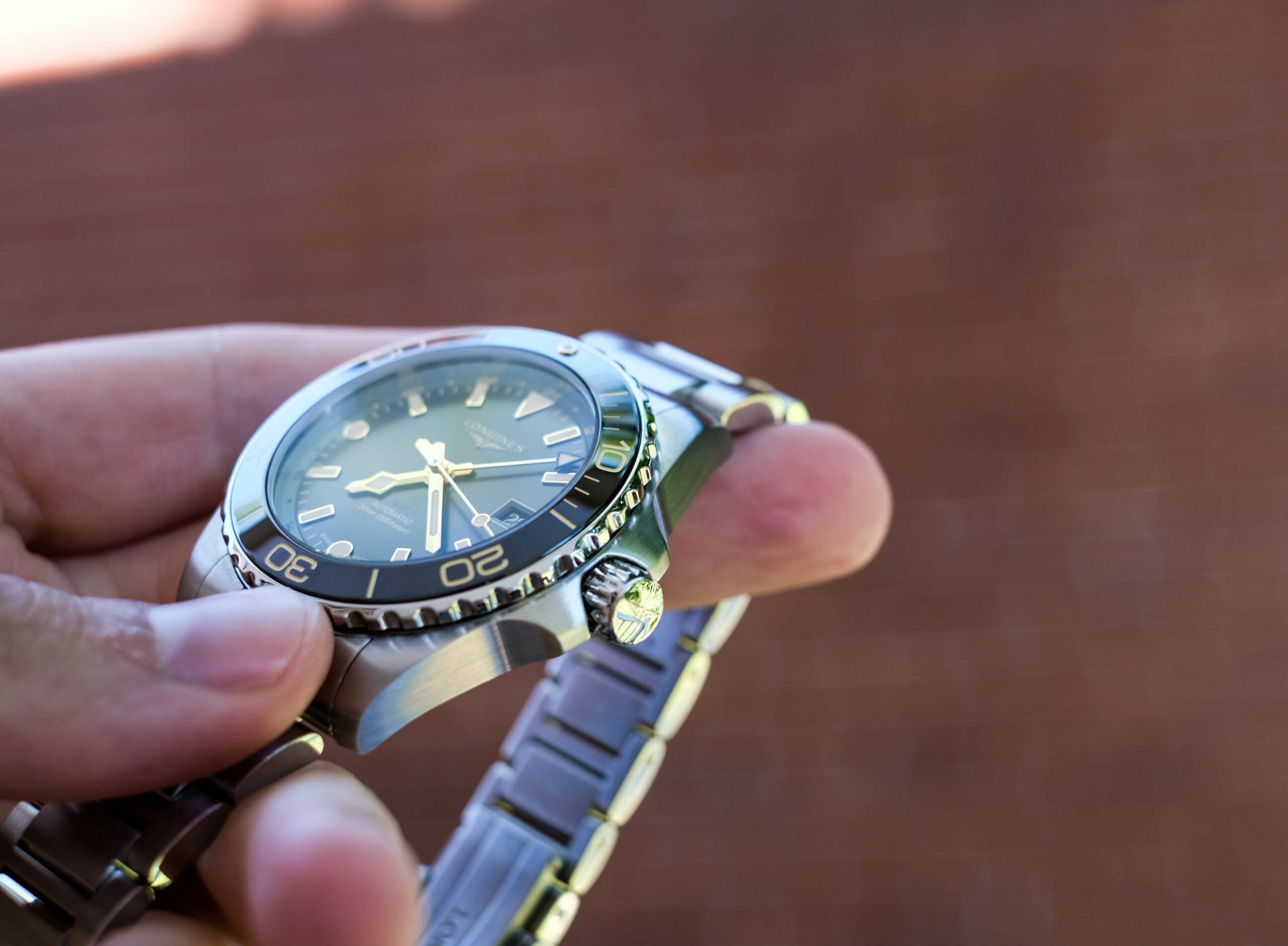 Longines Hydroconquest GMT Case Side