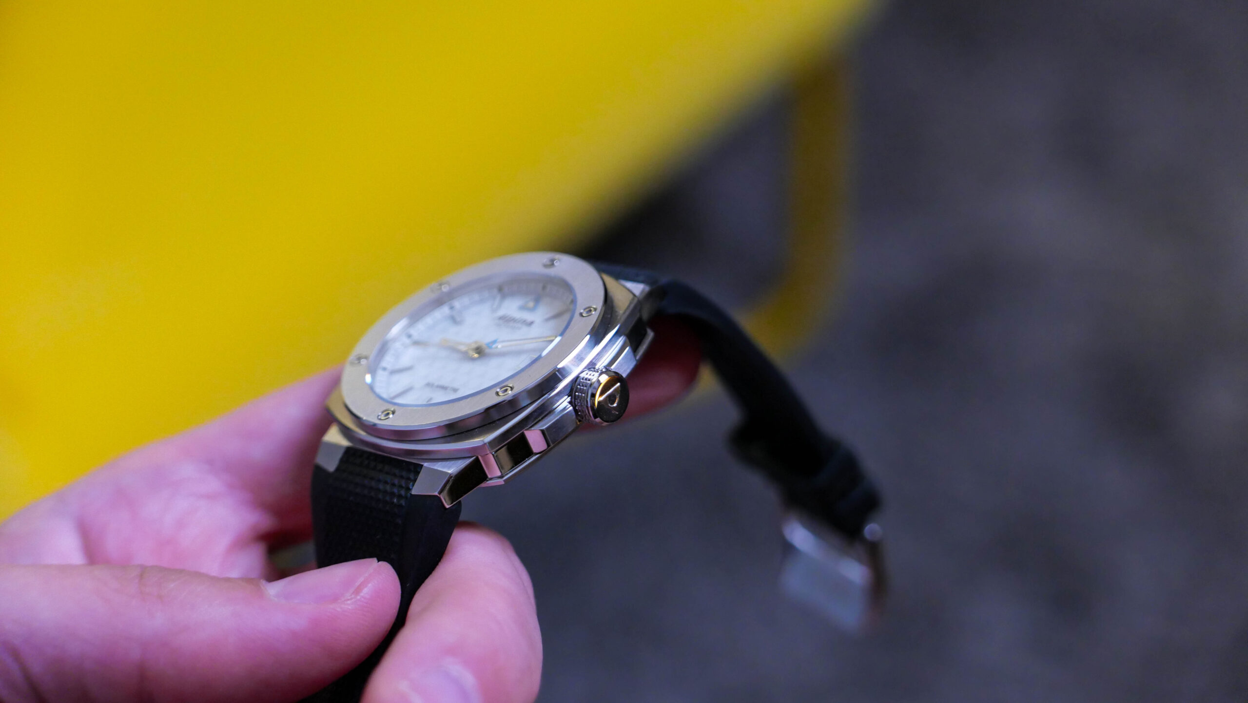 Alpina Alpiner Extreme Solarmetre Slim Case